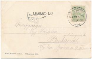 1907 Buziásfürdő, Baile Buzias; Nosek Gusztáv kiadása (EB)