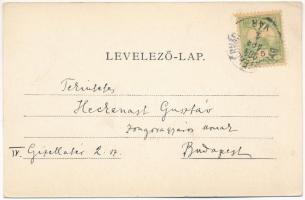 1904 Gyulafehérvár, Karlsburg, Alba Iulia; Kriegsbrückenschlag über den Maros / hidászok ideiglenes ...