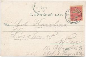 1901 Hévíz, Hetes Ház, fürdő, Mexikó szálloda, kápolna. Moricz Marton kiadása, Art Nouveau, floral, ...