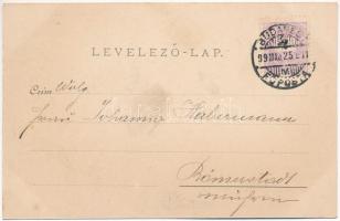 1899 (Vorläufer) Visegrád, "Visegrád" gőzüzemű oldalkerekes személyhajó a Salamon tornyáná...