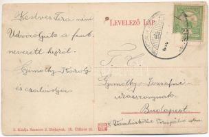 Budakeszi, Erdő utca, Rapolter István üzlete. Szemere J. kiadása (Rb)