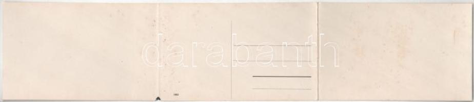 Tokaj, látkép zsinagógával. 3-részes kihajtható panorámalap / 3-tiled folding panoramacard with syna...