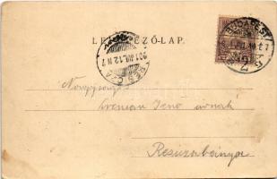 1901 Budapest XII. Svábhegy, Frivaldszky villa és kertje eredeti, neoromantikus állapotában Brein Fe...