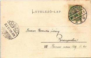 1902 Budapest XII. Svábhegyi nyaralók. Ganz Antal kiadása (fl)