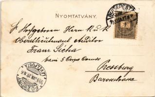 1900 Budapest XIV. Műcsarnok, Brázay-féle sósborszesz reklám. Bruchsteiner és fia Art Nouveau, litho...