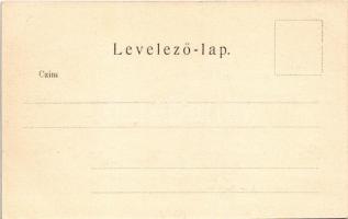 Budapest V. Károlyi körút, Diana Gyógyszertár, Papírnemű gyár, lámpaárugyár, villamos, Haldek szőnye...