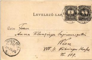 1899 (Vorläufer) Budapest XII. M. kir. állami Paedagogium (Pedagogium, később Testnevelési Főiskola)...