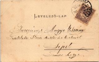 1901 Budapest XI. Dunai részlet a Gellért-heggyel, gőzhajó, "Ilonka" halász bárka. Ganz An...