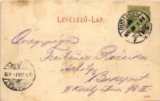 1905 Budapest I. Kilátás a Gellérthegyi kioszkról, Tabán részlete. Kiadja Auer J. (fl)