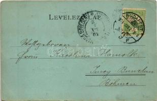 1904 Budapest VI. Magy. kir. operaház télen (EK)