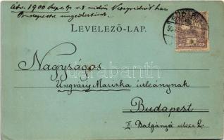 1900 Budapest, Pillantás a várból télen (EK)