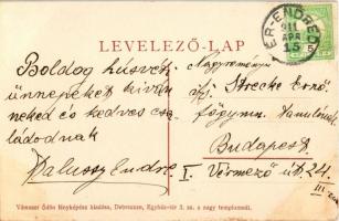 1911 Érendréd, Ér-Endréd, Andrid; Falussy kúria, kastély és a kert. Vámoser Ödön fényképész kiadása....