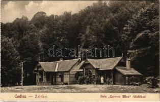 Feketehalom, Zeiden, Codlea; Baie Carmen Silva / Waldbad-Bassin / Erdei fürdő. H. Christel / forest bath, spa