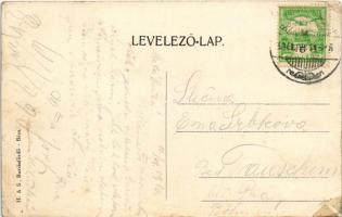 1916 Buziásfürdő, Baile Buzias; Gyógyterem a kávéházzal, kert vendégekkel és pincérekkel / spa, café...