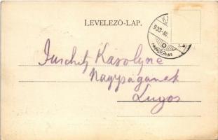 1903 Karánsebes, Caransebes; Aus dem Karánsebeser Alpengebiete. Alpe Gugu, Scarisiora, Morariu und G...