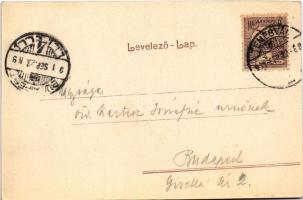 Temesvár, Timisoara; látkép, templom / general view, church