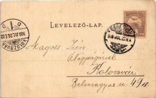 1900 Segesvár, Schässburg, Sighisoara; Vom Galtberg aus gesehen / látkép / general view. Verl. von H...