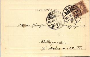 1901 Arad, Kiserdői tó / forest lake