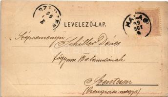 1899 (Vorläufer) Arad, 1849-1899 Október 6. Aradi Vértanúk. Muskát M. kiadása / The 13 Martyrs of Ar...