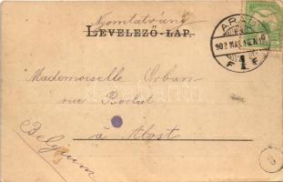 1902 Arad, Tököly tér, piac, Hoffmann József, Löwy Ármin, Joszif Miklós, Schwarz R. üzlete (EK)