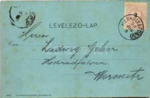 1898 (Vorläufer) Herkulesfürdő, Baile Herculane; Este. Emil Jäger kiadása / night (fl)