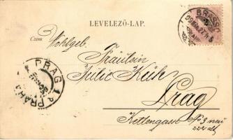 1899 (Vorläufer) Brassó, Kronstadt, Brasov; Egy részlet Noáról (EK)