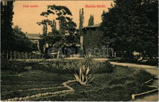 1908 Buziás-fürdő, Baile Buzias; park. Francz Testvérek kiadása (EK)