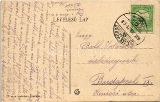 1908 Buziás-fürdő, Baile Buzias; park. Francz Testvérek kiadása (EK)