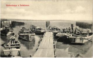 Balaton, halásztanya csónakokkal (EK)