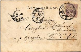 1901 Budapest XII. Rum Villa, kilátás Krisztinaváros és a vár felé, Gellérthegy. photo (fl)