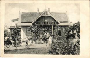 1907 Miskolc, Avas, nyári lak, villa, lovas hintó