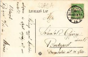 1907 Miskolc, Avas, nyári lak, villa, lovas hintó