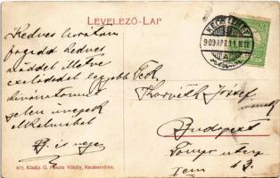 1909 Kecskemét, Körösi utca, Fleischer Kálmán és Kovács Jenő, üzlete, Drogéria a Vöröskereszthez. G....