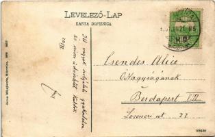 1909 Szávaszentdemeter, Mitrovice, Mitrovitz an der Save, Sremska Mitrovica; Fő tér. Jovan Mihajlovi...