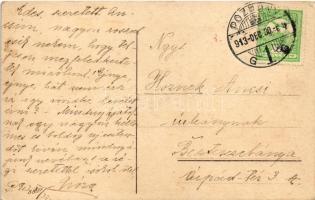 1913 Boldog új évet! Malac / New Year greeting, pig. litho (EB)