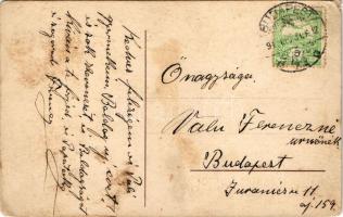 Boldog új évet! Malac banda / New Year greeting, pig music band. litho (EM)