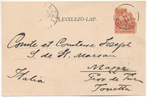 1903 Tengelic, Kölesd-Tengelic; Katalinpuszta, Schell kastély és park. Art Nouveau, floral (Rb)