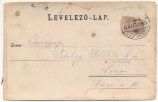 1899 (Vorläufer) Debrecen, Piac nyugati és keleti részlete, Bika szálloda. Szecessziós fémes hatású ...