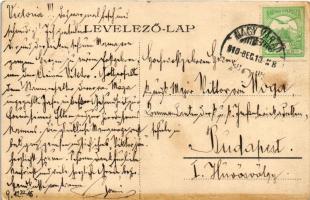 1910 Nagyvárad, Oradea; Kishídfő, Városháza. Kiadja Rákos Vilmos. / bridge, town hall (ázott / wet d...