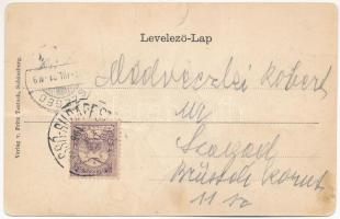 1901 Segesvár, Schässburg, Sighisoara; Kiadja Fritz Teutsch, szecessziós virágos litho keret / Art N...