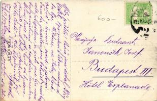 Temesvár, Timisoara; Regatta egyesület / rowing and sailing club