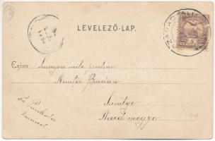 1901 Temesvár, Timisoara; Városháza. Polatsek kiadása / town hall. Art Nouveau (EK)