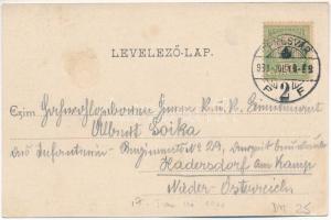 1901 Temesvár, Timisoara; Gyárvárosi részletek, lovas hintó. Polatsek-féle kiadása / square in Fabri...