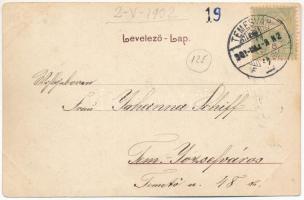 1902 Temesvár, Timisoara; Erzsébetváros, Dózsa utca, kerékpár, sorompó, vasúti átkelő és őrház. Pola...