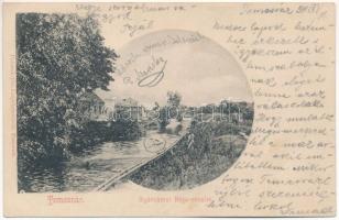 1911 Temesvár, Timisoara; Gyárvárosi Béga részlet. Polatsek-féle kiadása / Fabric, riverside (EK)