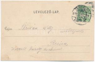 1911 Temesvár, Timisoara; Gyárvárosi Béga részlet. Polatsek-féle kiadása / Fabric, riverside (EK)