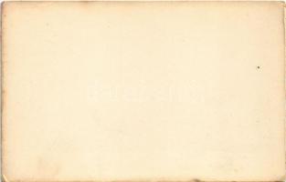 Nagyszeben, Hermannstadt, Sibiu; Első Virág Karnevál, X. Margueritengruppe lovas szekere / Blumentag...