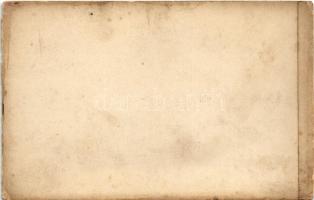 Nagyszeben, Hermannstadt, Sibiu; Első Virág Karnevál, VIII. Gambrinus lovas szekere / Blumentag Fest...