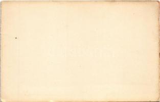 Nagyszeben, Hermannstadt, Sibiu; Első Virág Karnevál, IX. Jägergruppe lovas szekere / Blumentag Fest...