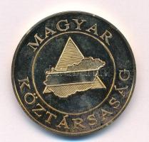 DN Magyar Köztársaság / Magyar Polgári Védelem - A lakosság védelméért aranyozott bronz emlékérem (41mm) T:UNC (eredetileg PP)